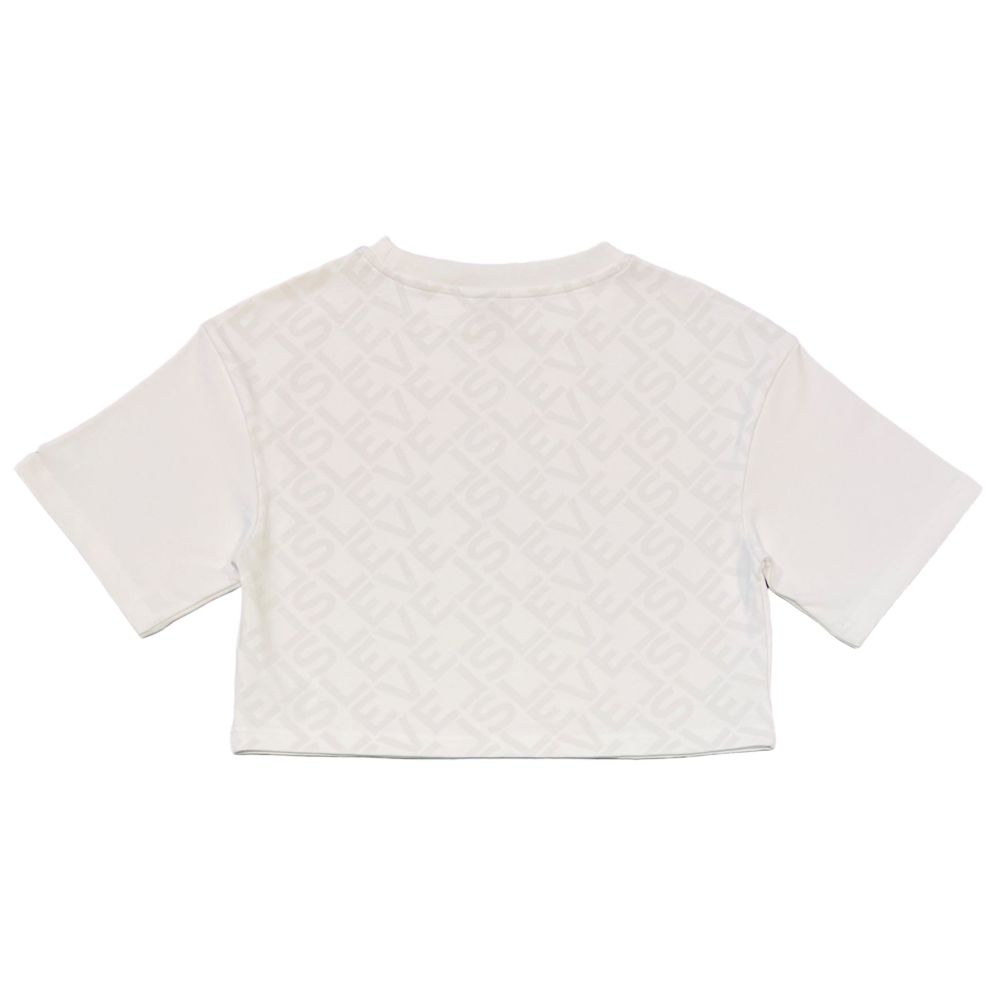 LEVELS OVERSIZED CROP TEE | WHITE