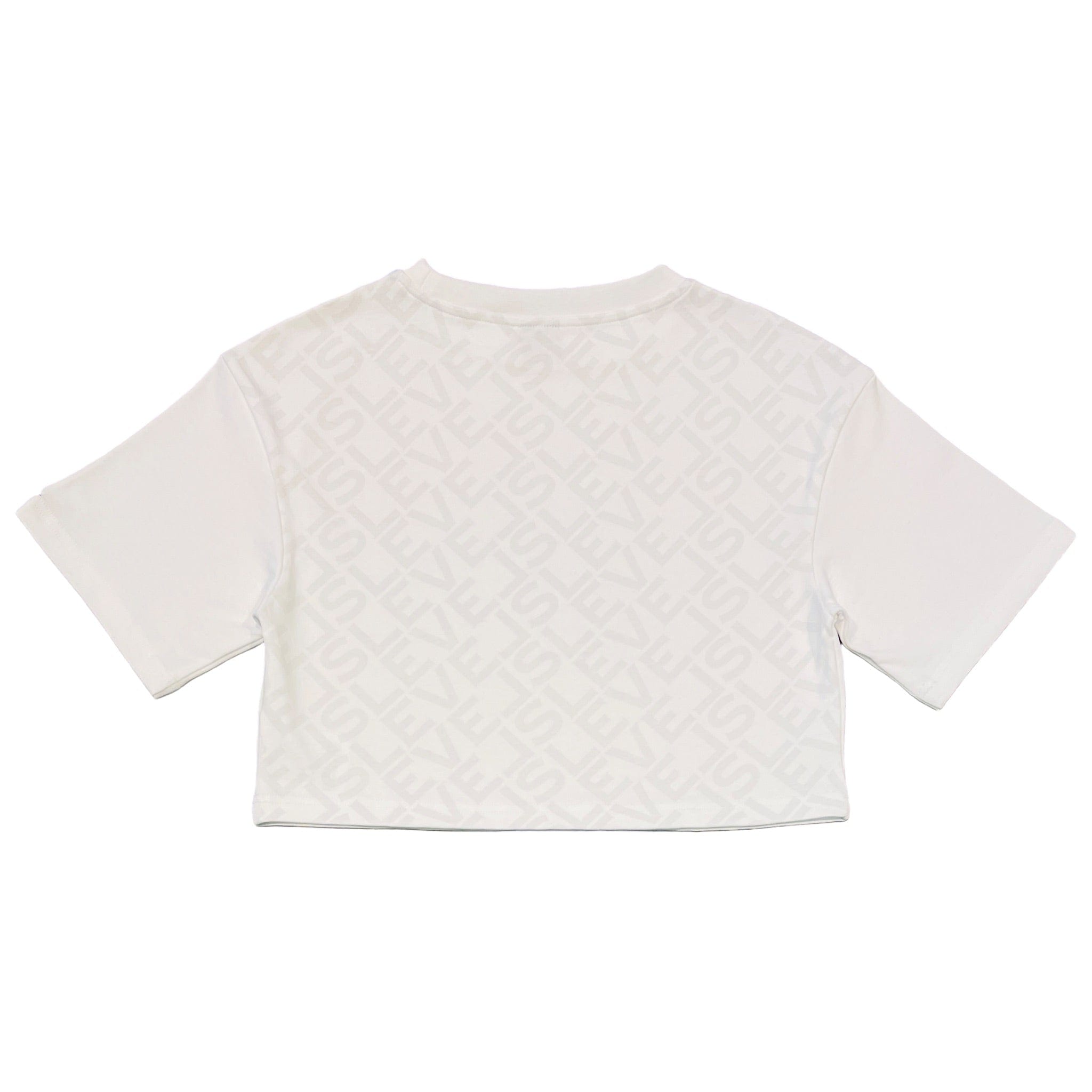 Levels L.L.C. Apparel & Accessories LEVELS OVERSIZED CROP TEE | WHITE