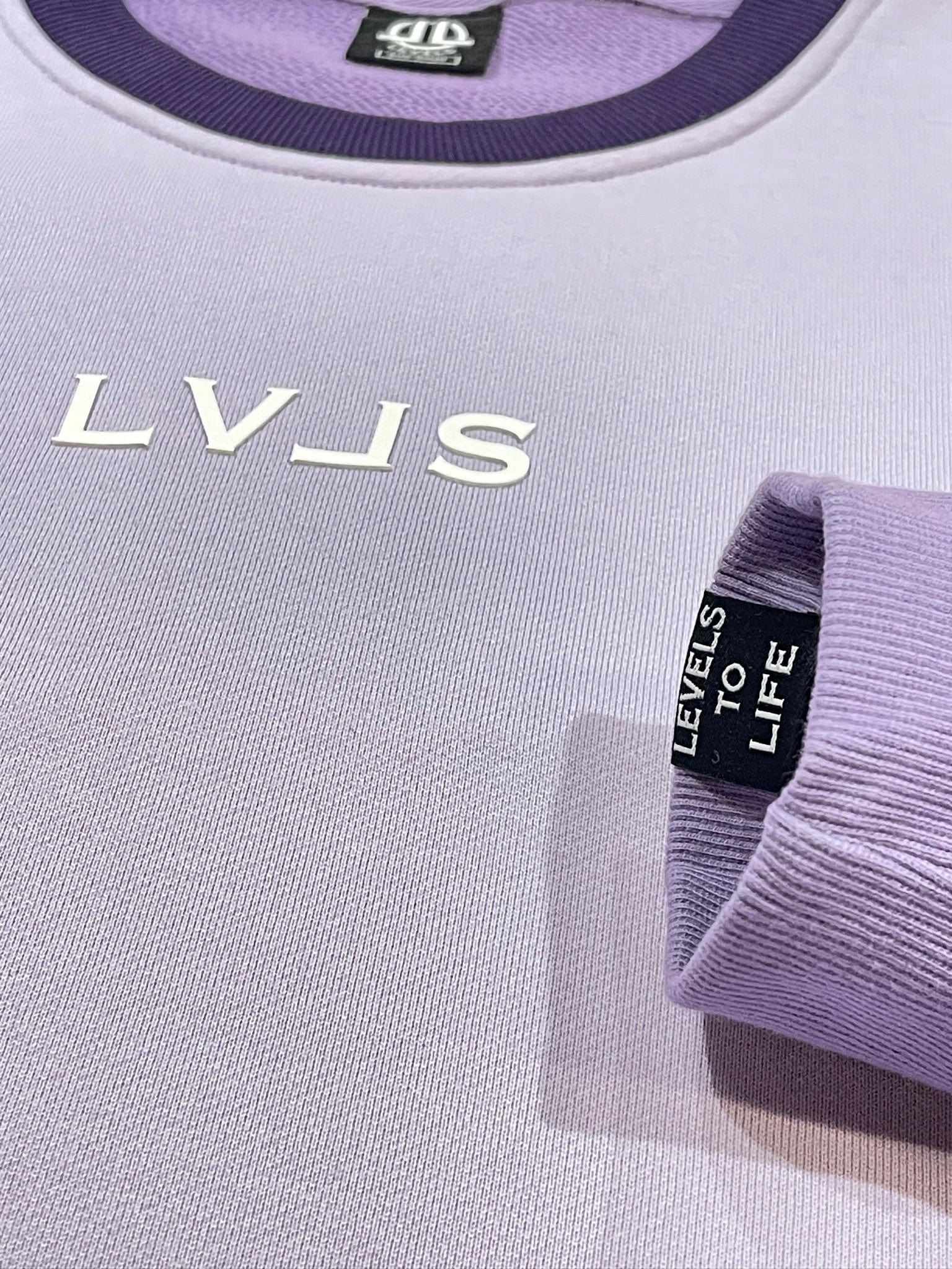 LEVELS, LLC Apparel & Accessories LEVELS SIGNATURE OVERSIZED CREWNECK | PURPLE REIGN